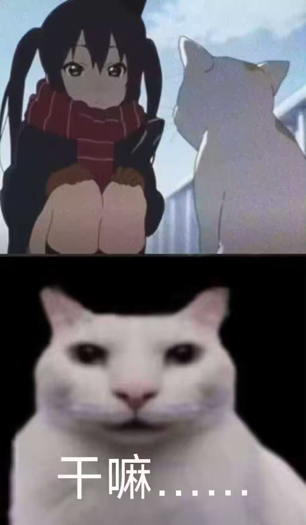 what